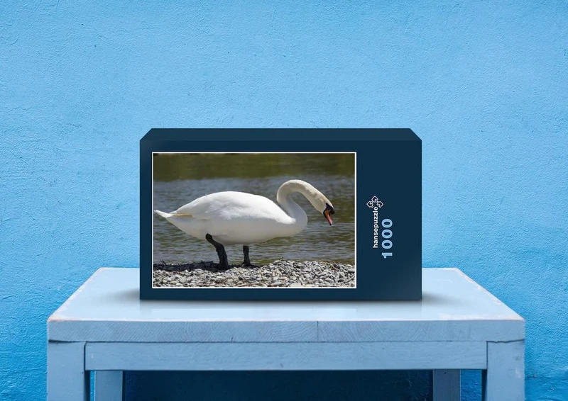 36434 Tierwelt - Schwan Puzzle
