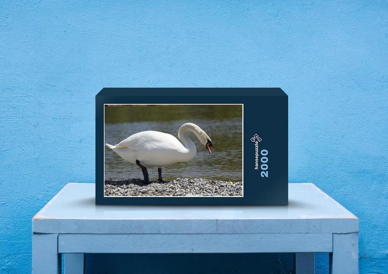 36434 Tierwelt - Schwan Puzzle