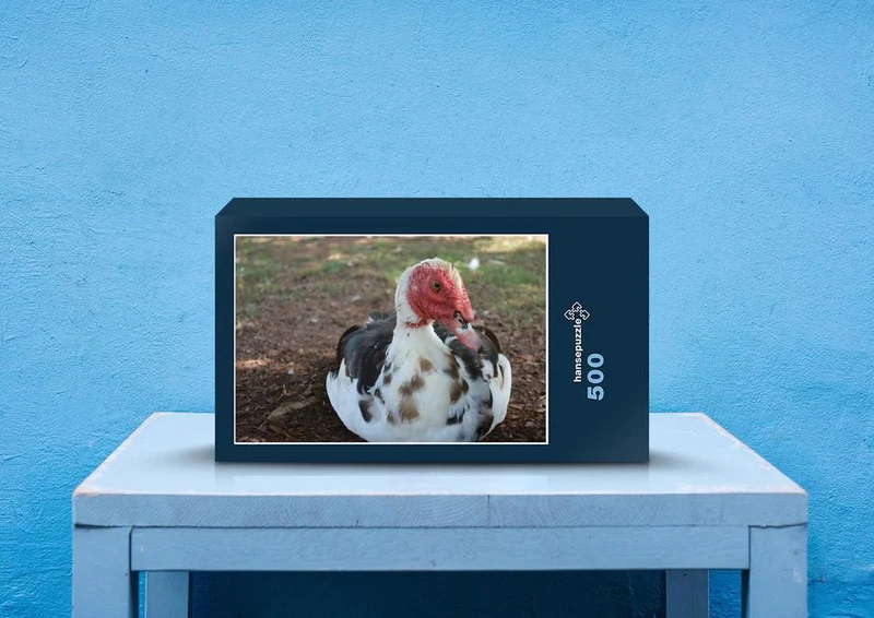 37821 Tierwelt - Ente Puzzle