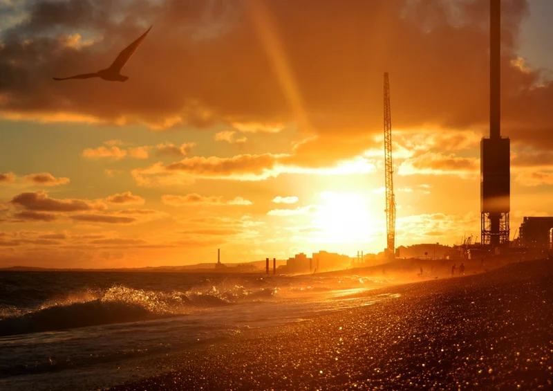 36422 Tierwelt - Sonnenuntergang Puzzle