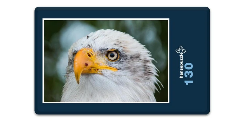 18082 Tierwelt - Weißkopf-Seeadler Puzzle