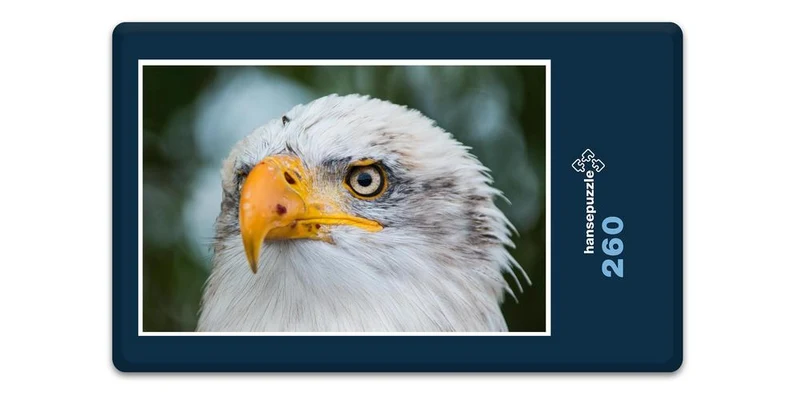 18082 Tierwelt - Weißkopf-Seeadler Puzzle