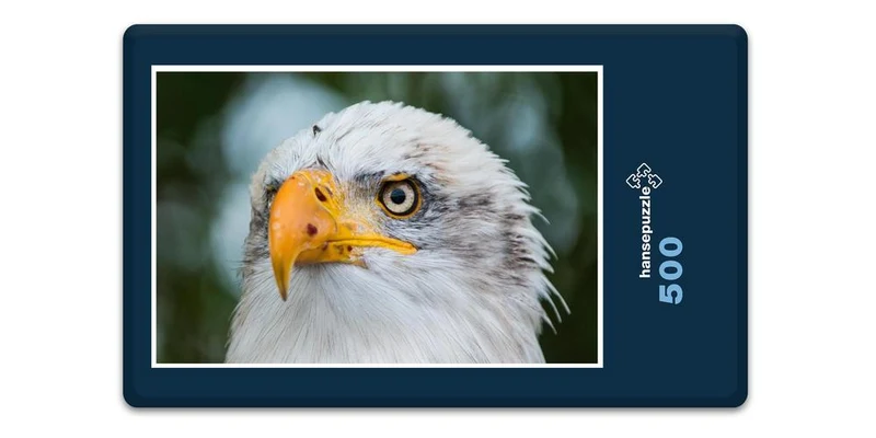 18082 Tierwelt - Weißkopf-Seeadler Puzzle
