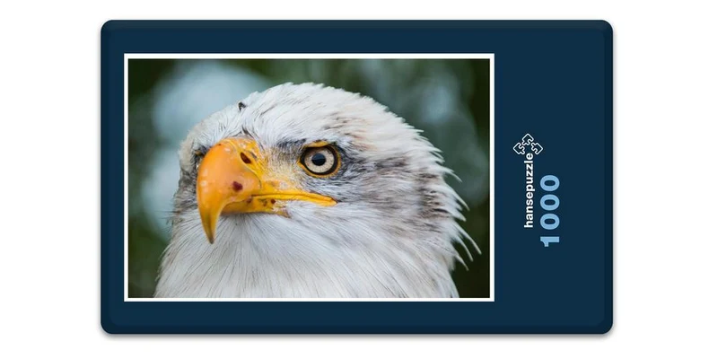 18082 Tierwelt - Weißkopf-Seeadler Puzzle