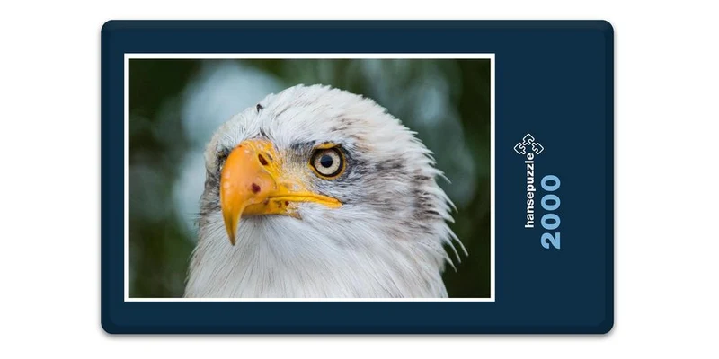 18082 Tierwelt - Weißkopf-Seeadler Puzzle