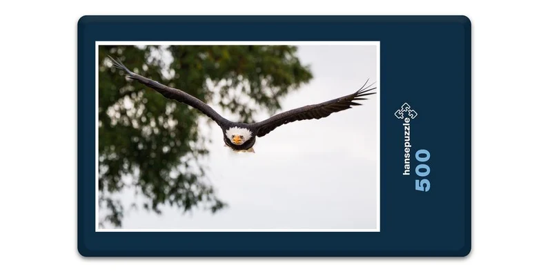 18081 Tierwelt - Weißkopf-Seeadler Puzzle