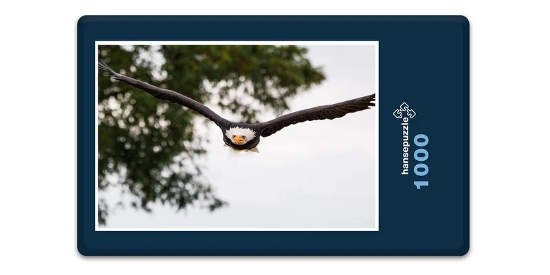 18081 Tierwelt - Weißkopf-Seeadler Puzzle