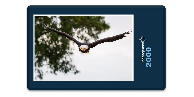 18081 Tierwelt - Weißkopf-Seeadler Puzzle