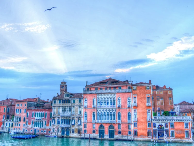 39338 Tierwelt - Venedig Puzzle