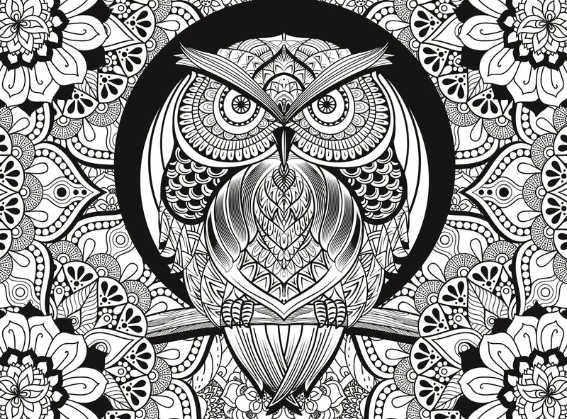 Owl - 3D Colour Therapy Puzzle (3D Glasses Included)