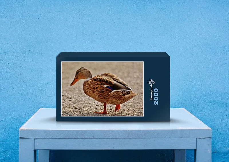 36274 Tierwelt - Ente Puzzle