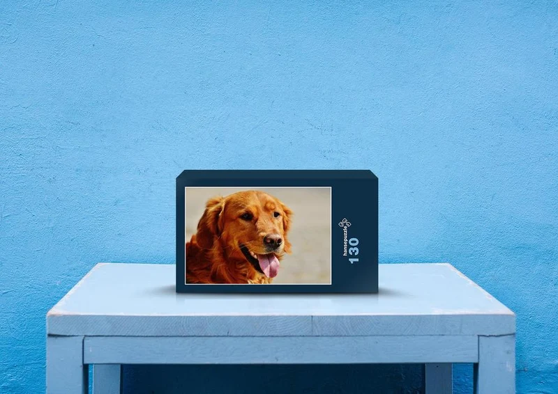 35475 Tierwelt - Golden retriever Puzzle