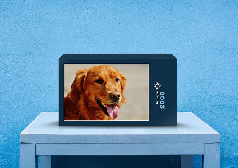 35475 Tierwelt - Golden retriever Puzzle