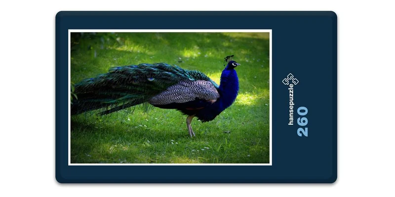 19480 Tierwelt - Pfau Puzzle