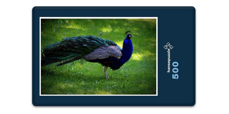 19480 Tierwelt - Pfau Puzzle