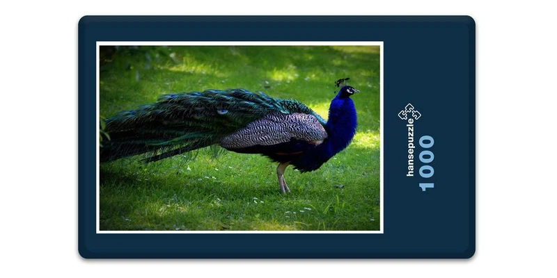 19480 Tierwelt - Pfau Puzzle