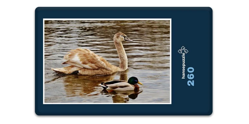 18073 Tierwelt - Wasservögel Puzzle