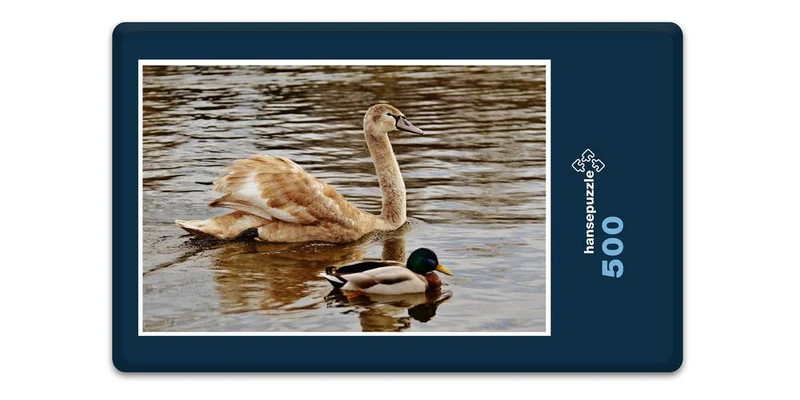 18073 Tierwelt - Wasservögel Puzzle