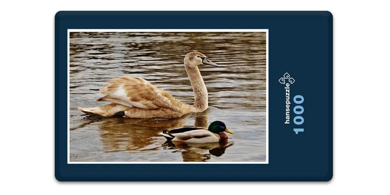 18073 Tierwelt - Wasservögel Puzzle