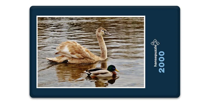 18073 Tierwelt - Wasservögel Puzzle