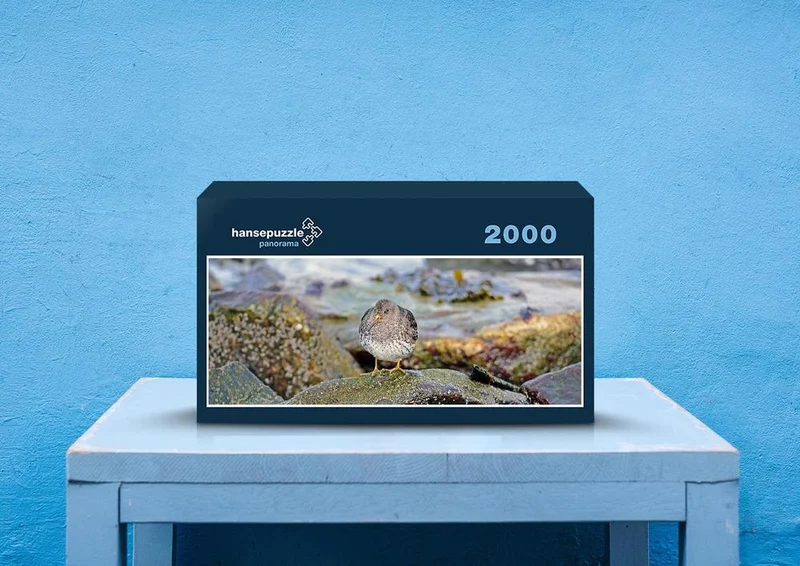 36405 Tierwelt - Kiwi-vogel Puzzle