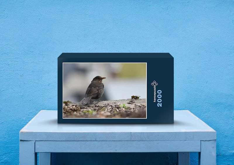 36389 Tierwelt - Spatz Puzzle