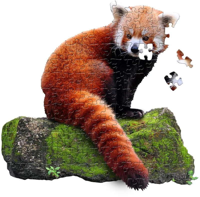 I Am Lil' Red Panda (100pcs)