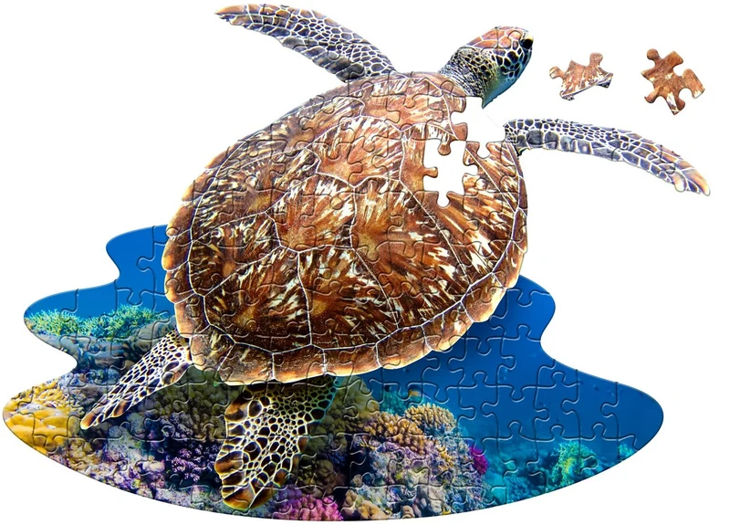 I Am Lil' Sea Turtle (100pcs)