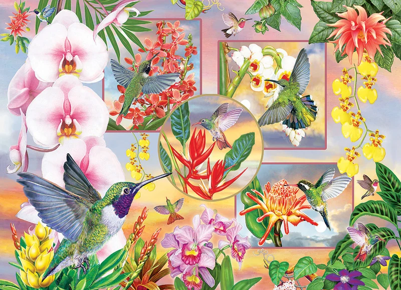 Hummingbird Magic, Rosiland Solomon