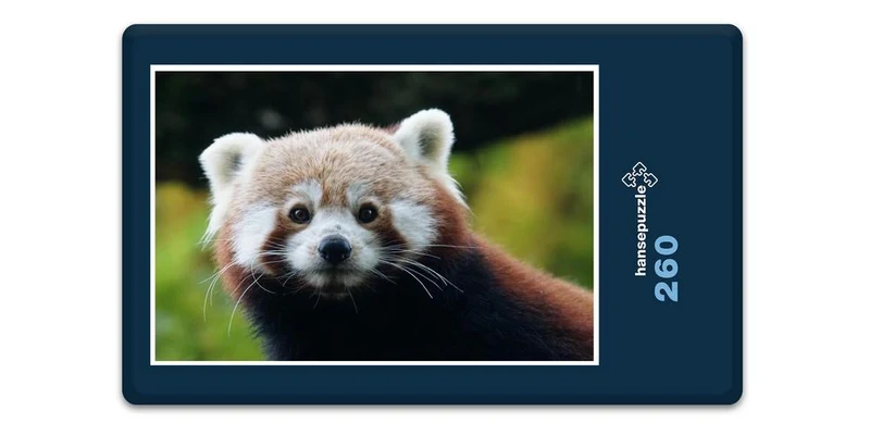 18071 Tierwelt - Kleiner Panda Puzzle