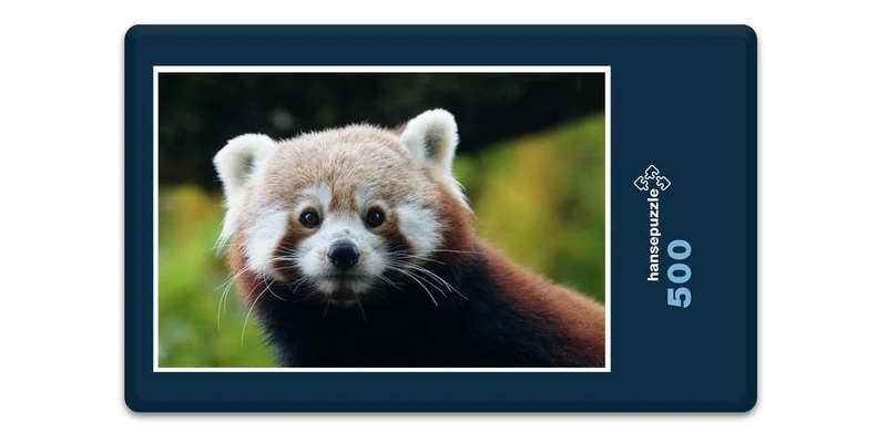 18071 Tierwelt - Kleiner Panda Puzzle