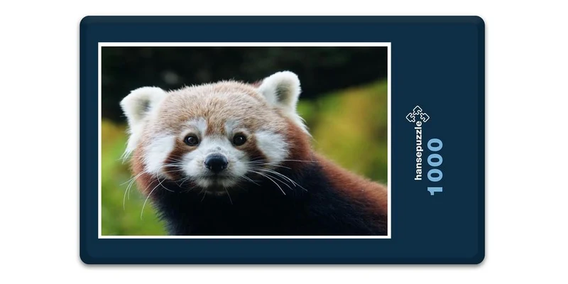 18071 Tierwelt - Kleiner Panda Puzzle