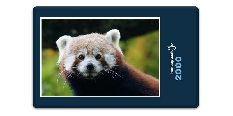18071 Tierwelt - Kleiner Panda Puzzle