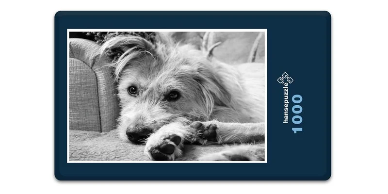18070 Tierwelt - Hund Puzzle