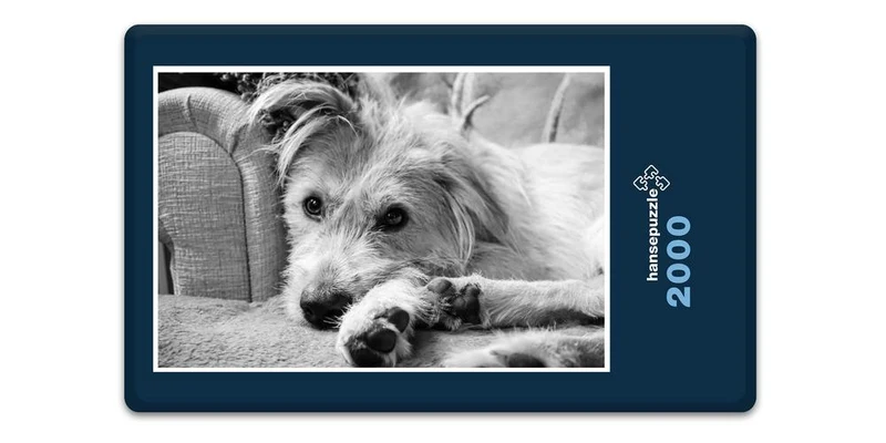 18070 Tierwelt - Hund Puzzle