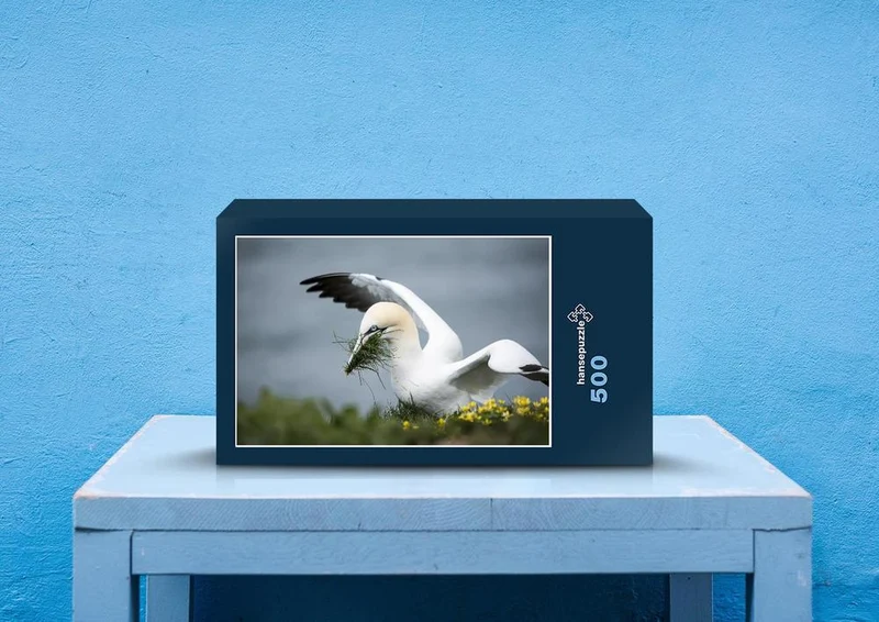 36222 Tierwelt - Sea bird Puzzle