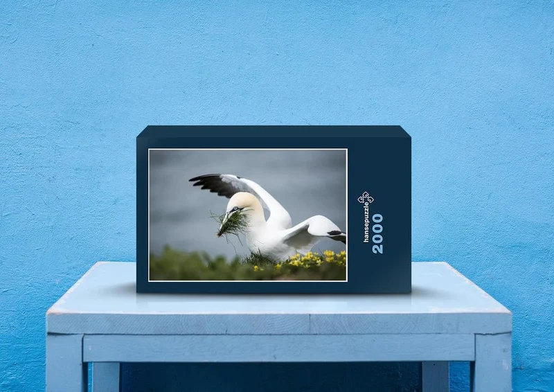 36222 Tierwelt - Sea bird Puzzle