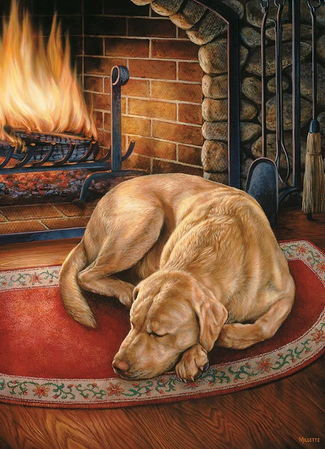 Home Is Where the Dog Is, Rosemary Millette