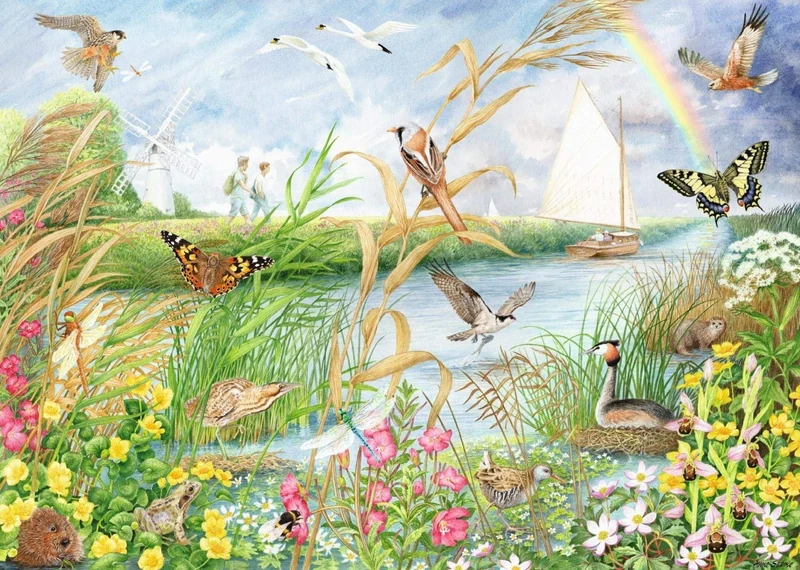Norfolk Broads, Anne Searle