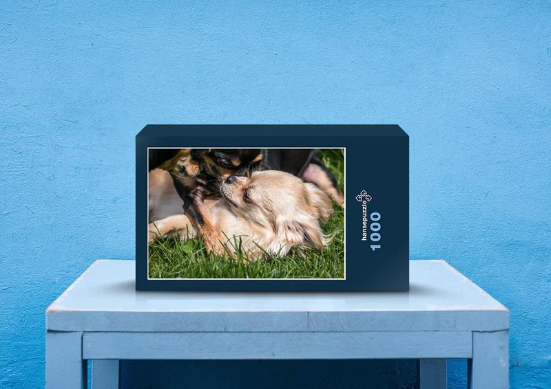 35220 Tierwelt - Chihuahua Puzzle
