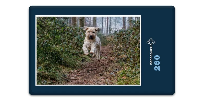 19074 Tierwelt - Glücklicher Hund Puzzle