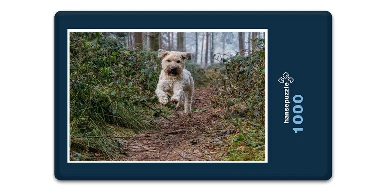 19074 Tierwelt - Glücklicher Hund Puzzle