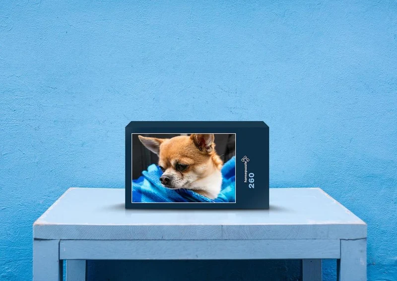 34717 Tierwelt - Chihuahua Puzzle