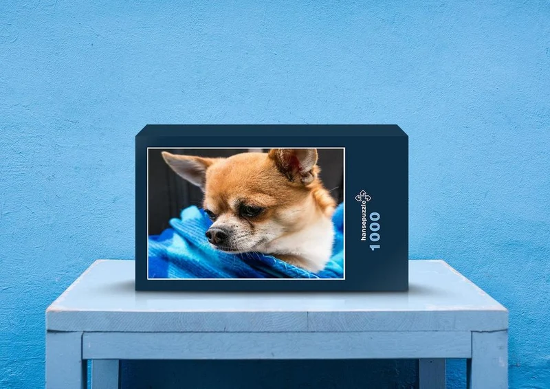 34717 Tierwelt - Chihuahua Puzzle