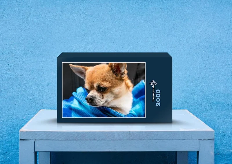 34717 Tierwelt - Chihuahua Puzzle