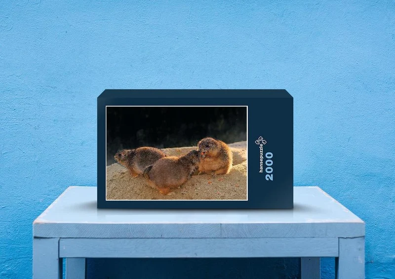 29693 Tierwelt - Präriehunde Puzzle