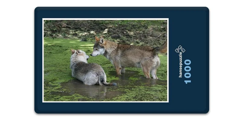 18069 Tierwelt - Wolf Puzzle
