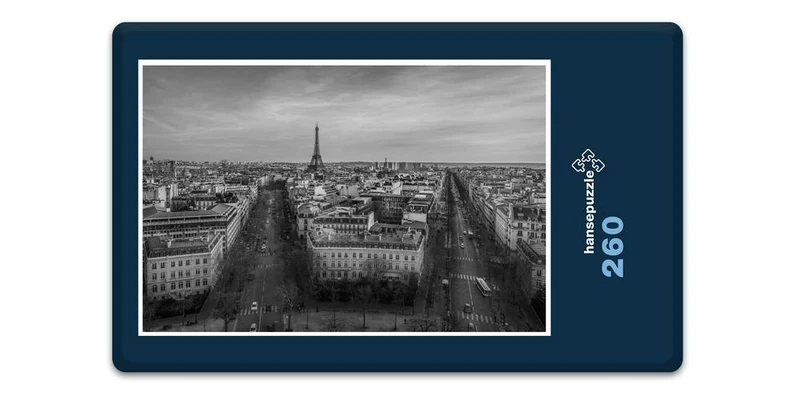 18206 Orte - Paris Skyline Puzzle