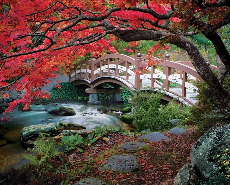 Hatley Park, David Ballantyne