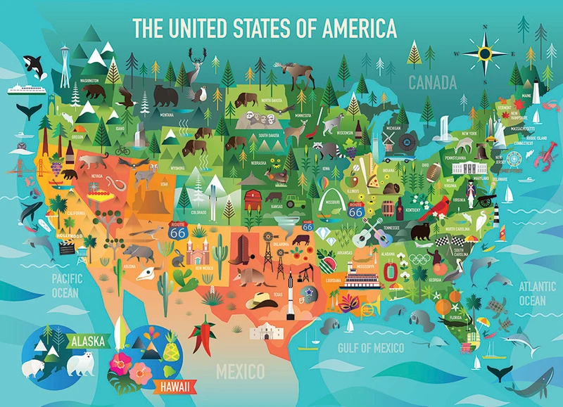The United States of America, Amanda Shufflebotham (Family Puzzle)